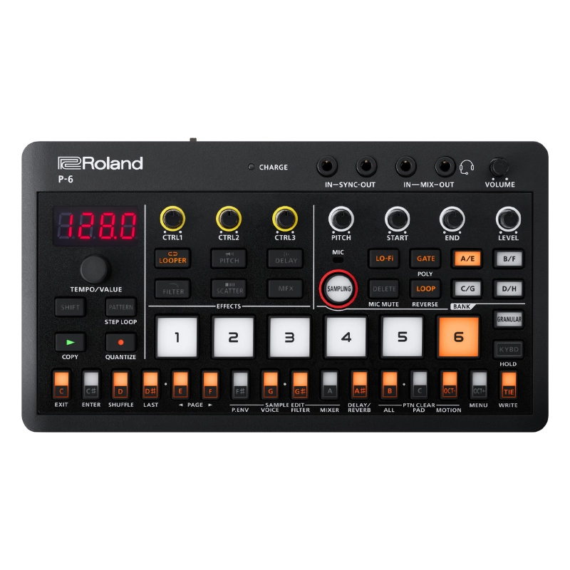 roland p6