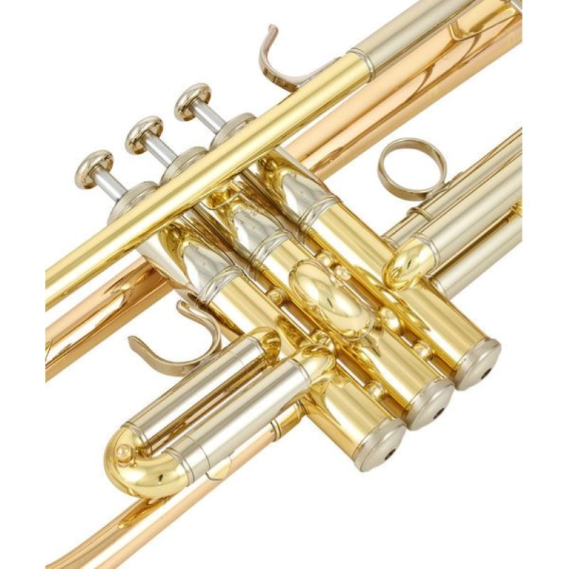 Yamaha YTR8335G 04 Tromba Professionale in Sib Serie Xeno