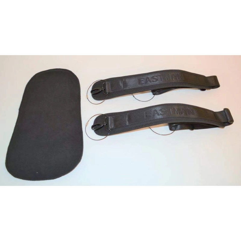 Eastman CAVL30 BLK Astuccio Violino 4/4 Nero Policarbonato Minicello