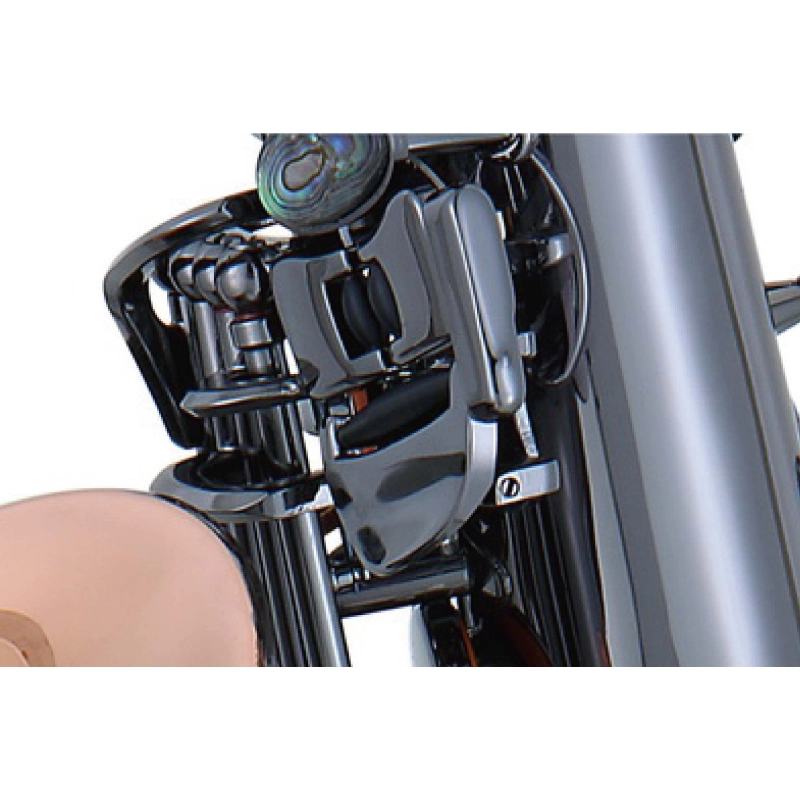 Lien Cheng A-804CB Sax Alto con Chiavi in Fibra di Carbonio