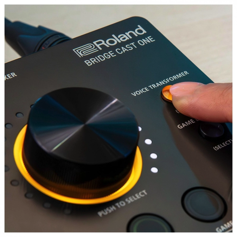 Roland Bridge Cast One Mixer Streaming Compatto con 2 Bus