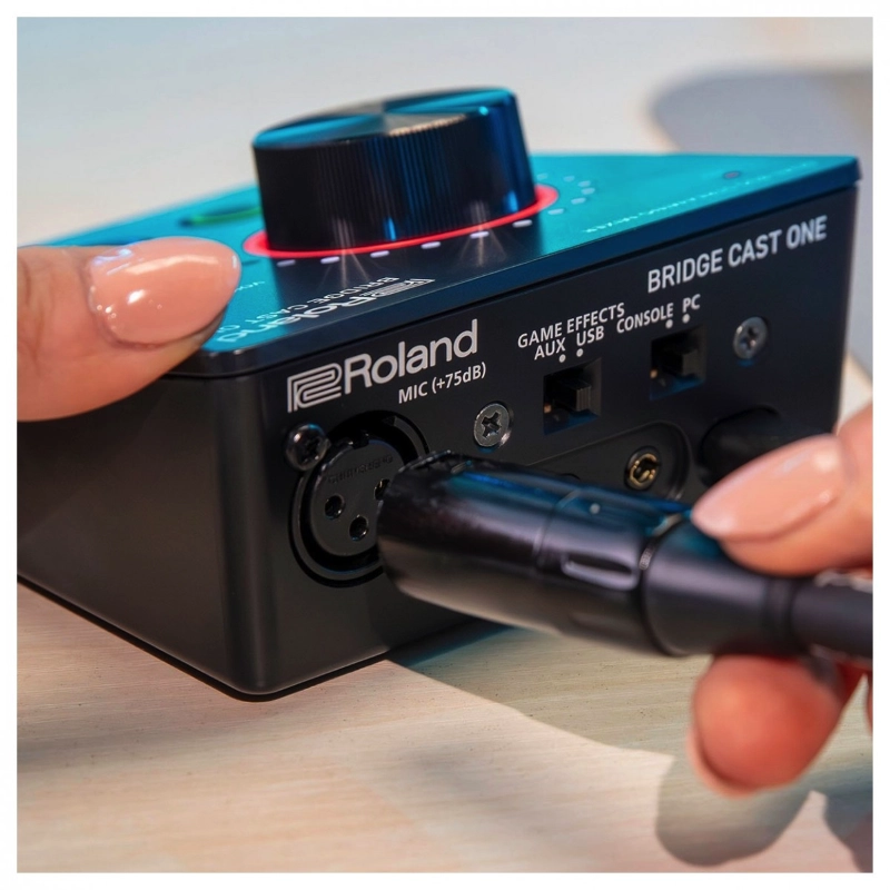 Roland Bridge Cast One Mixer Streaming Compatto con 2 Bus