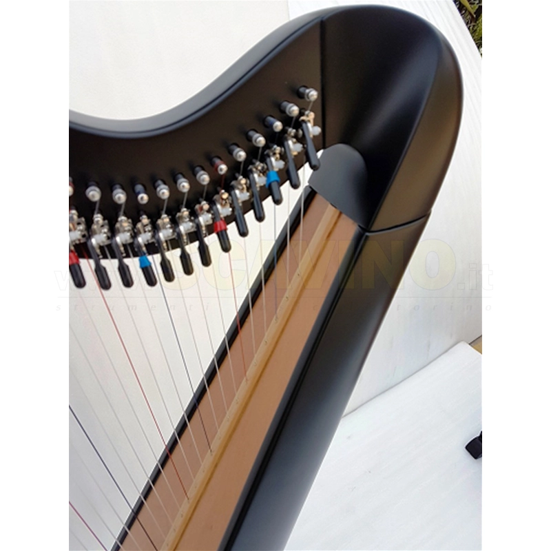HALIFAX Arpa Celtica 38 Corde MPHarp