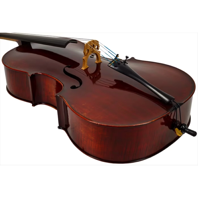 Eastman VC1AA Cello Amsterdam Atelier 1 Series 4/4