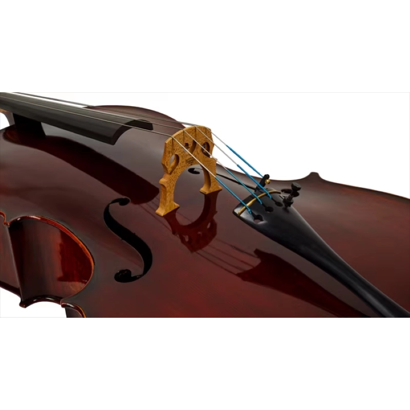 Eastman VC1AA Cello Amsterdam Atelier 1 Series 4/4