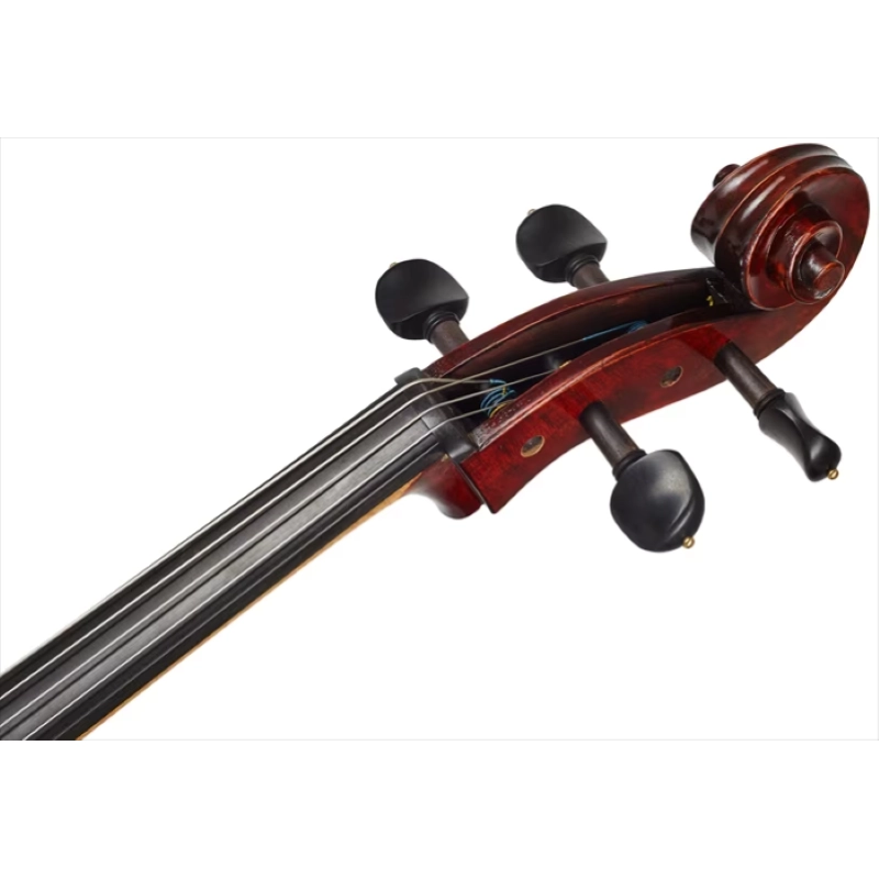 Eastman VC1AA Cello Amsterdam Atelier 1 Series 4/4