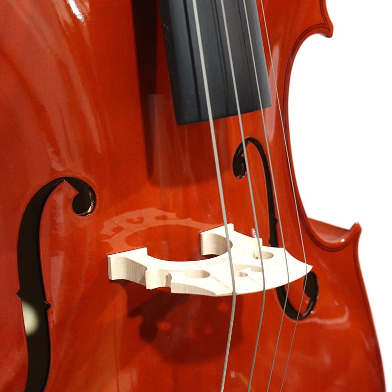 Luthier Violoncello 3/4 Student 1 Academy Laminsto Settato