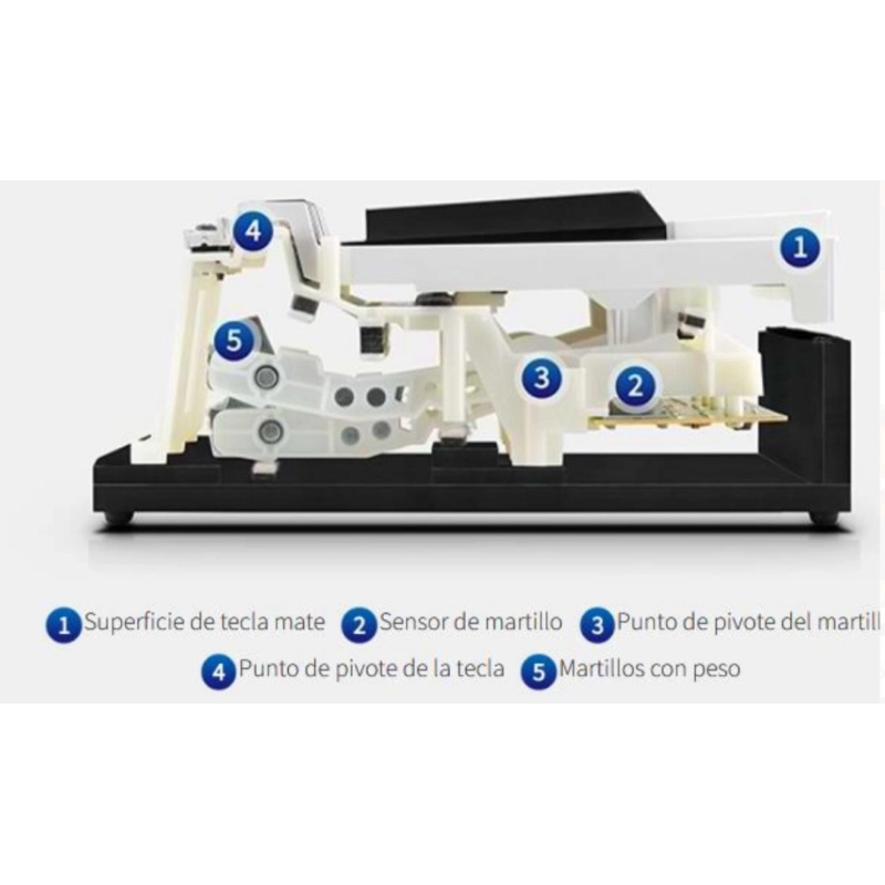 Kawai ES60B Pianoforte Digitale Stage 88 Tasti Pesati Nero