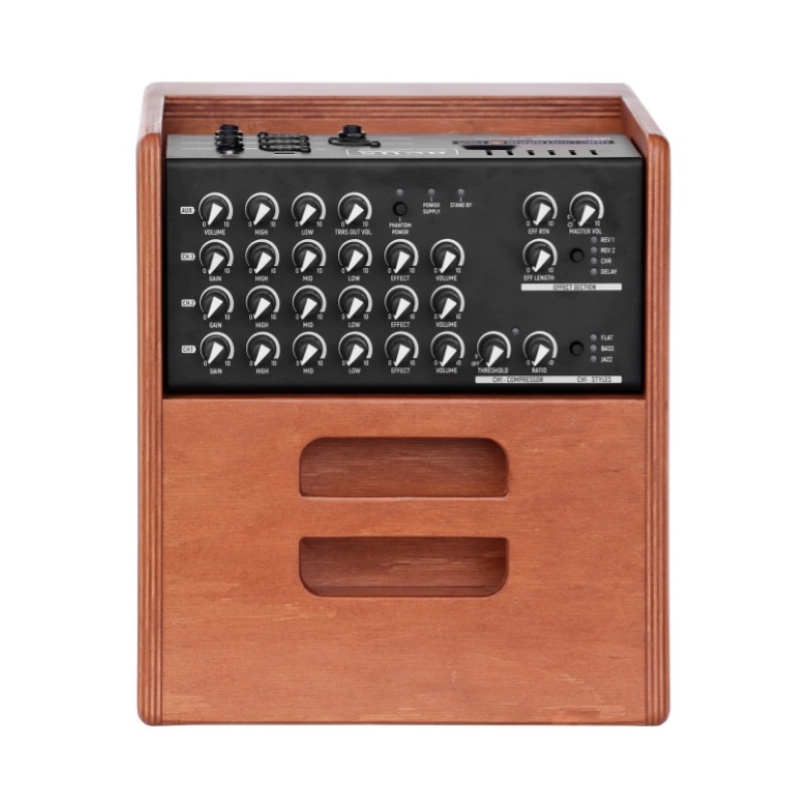 Acus One ForStrings 5 Ferdi Wood