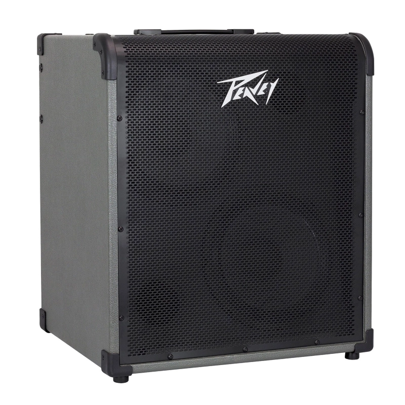 Peavey MAX300 Amplificatore per Basso 300 Watt 2x10"