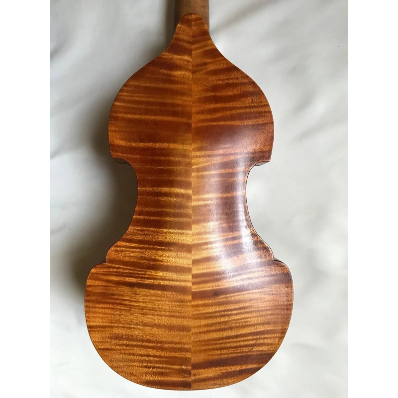 Viola d'amore di liuteria Rosenblum