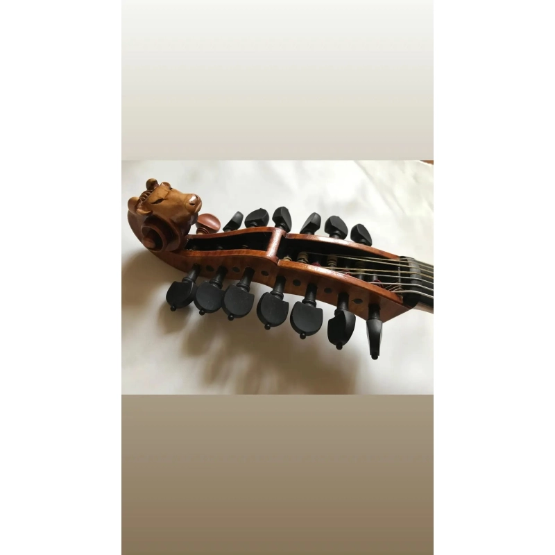 Viola d'amore di liuteria Rosenblum