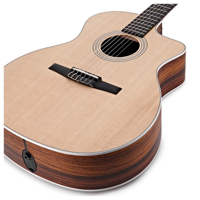 Taylor 214ce-N Walnut Spruce Grand Auditorium corde Nylon