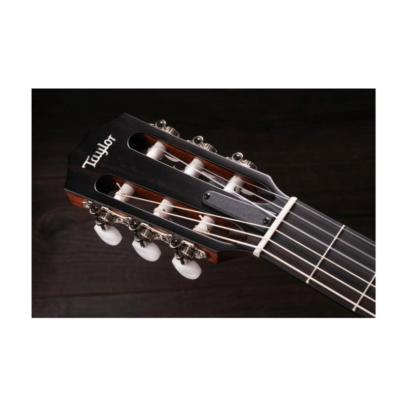 Taylor 312ce-N Compact Grand Concert body shap Corde in Nylon