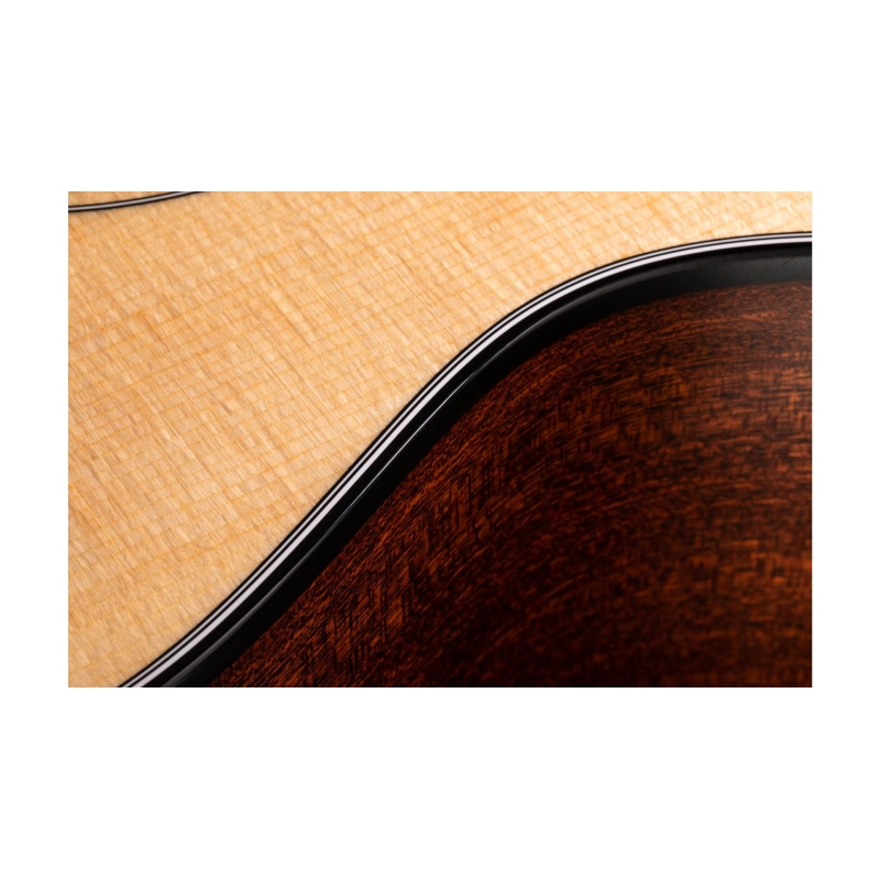 Taylor 312ce-N Compact Grand Concert body shap Corde in Nylon