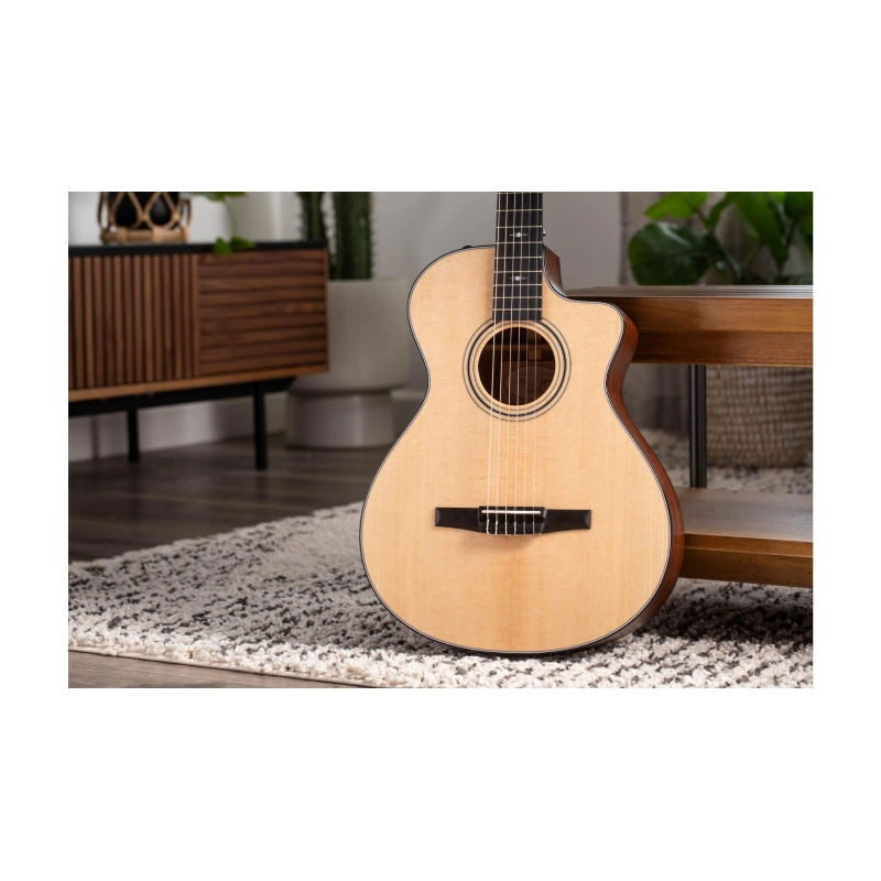 Taylor 312ce-N Compact Grand Concert body shap Corde in Nylon