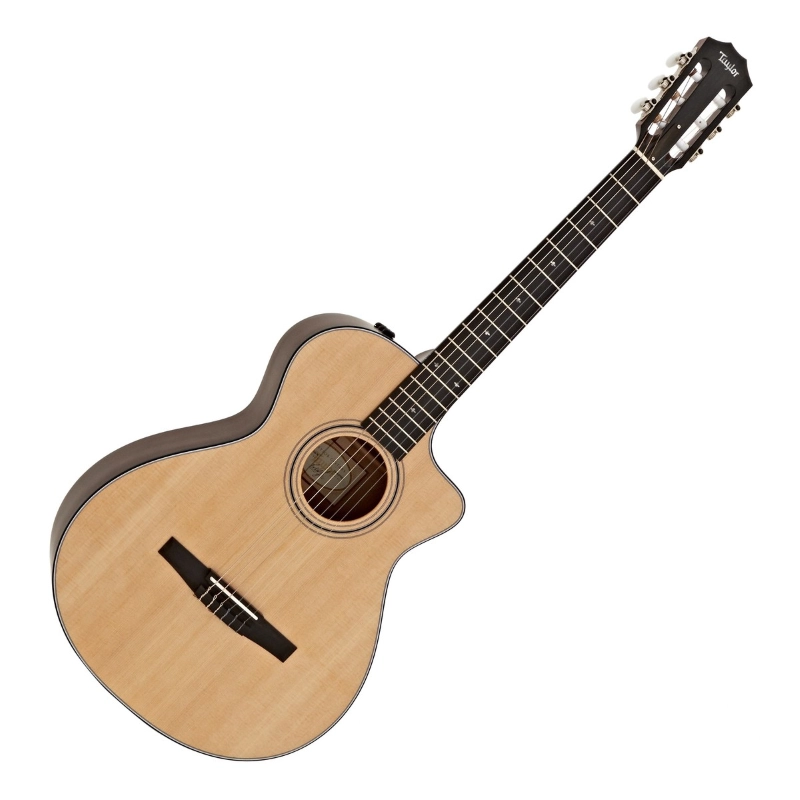 Taylor 314ce-N Compact Grand Concert Corde in Nylon