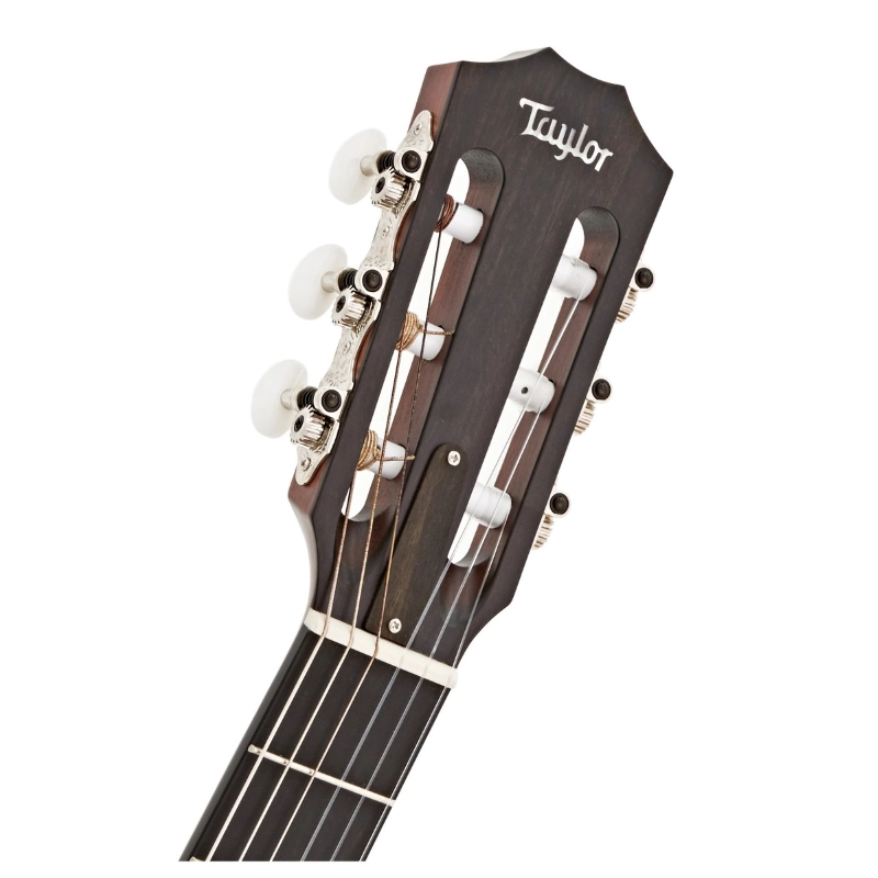 Taylor 314ce-N Compact Grand Concert Corde in Nylon