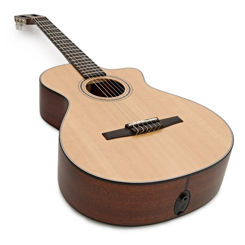 Taylor 314ce-N Compact Grand Concert Corde in Nylon