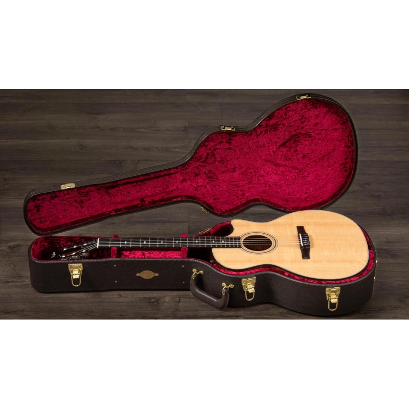 Taylor 314ce-N Compact Grand Concert Corde in Nylon