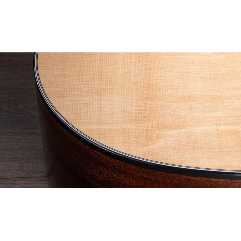 Taylor 314ce-N Compact Grand Concert Corde in Nylon