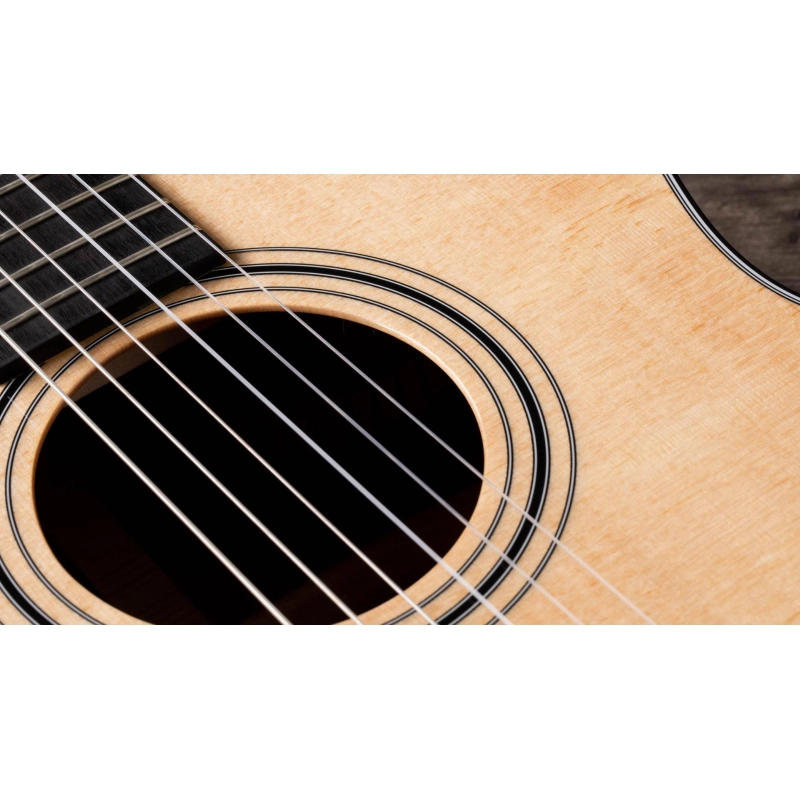 Taylor 314ce-N Compact Grand Concert Corde in Nylon