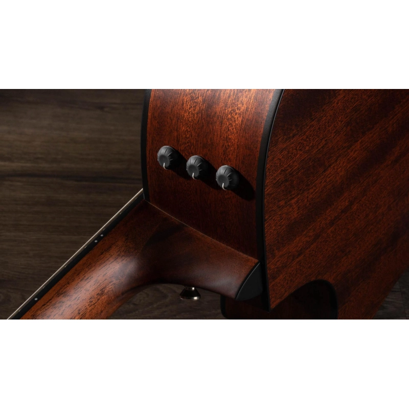 Taylor 314ce-N Compact Grand Concert Corde in Nylon