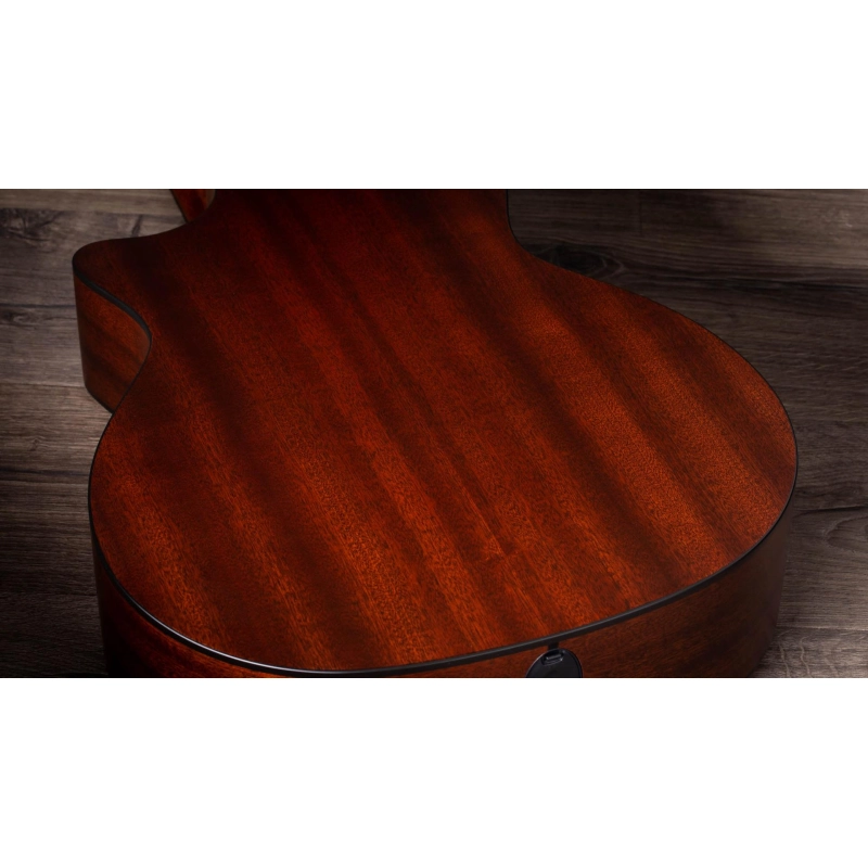 Taylor 314ce-N Compact Grand Concert Corde in Nylon