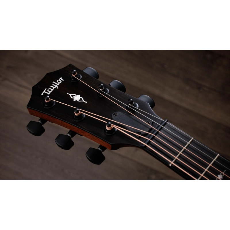 Taylor 322ce Mahogany Mahogany SEB Top