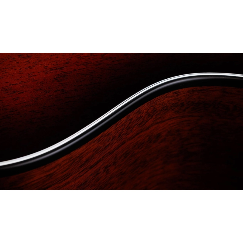 Taylor 322ce Mahogany Mahogany SEB Top