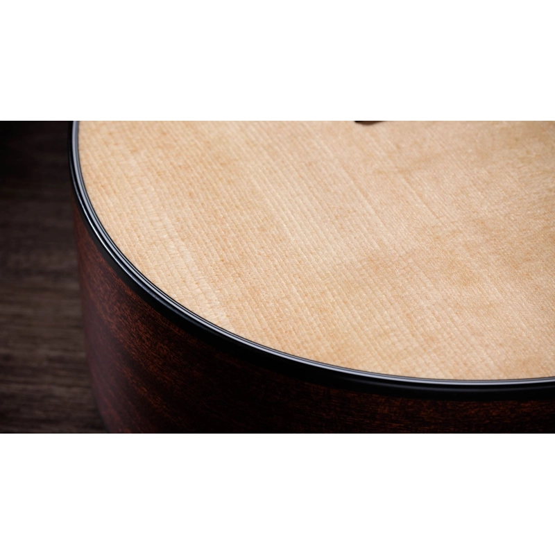 Taylor 352ce Sitka Sapele 12-String Gran Concert