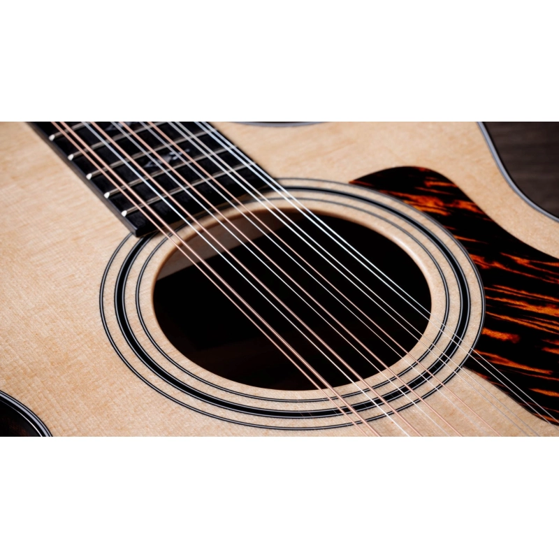 Taylor 352ce Sitka Sapele 12-String Gran Concert