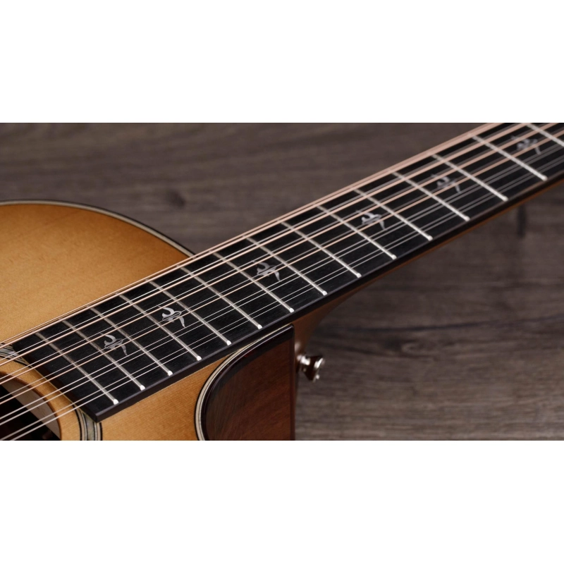 Taylor 552ce ,Urban Ironbark/Torrefied Sitka 12 Corde