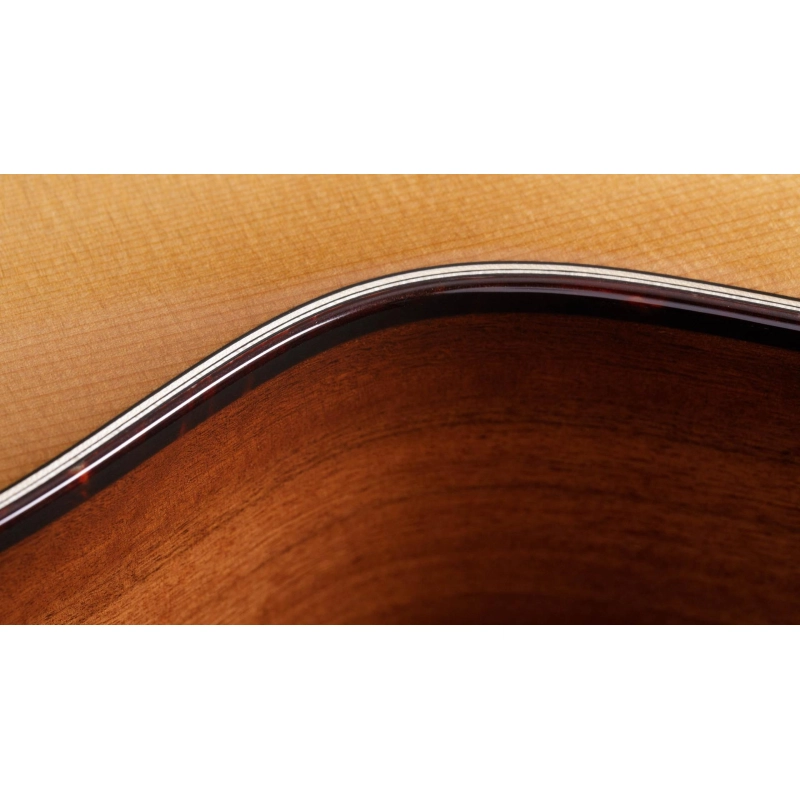 Taylor 552ce ,Urban Ironbark/Torrefied Sitka 12 Corde