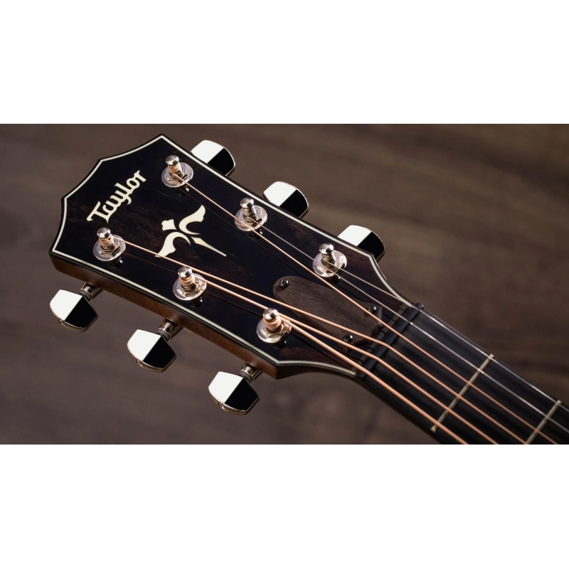 Taylor 614ce V-Class Bracing