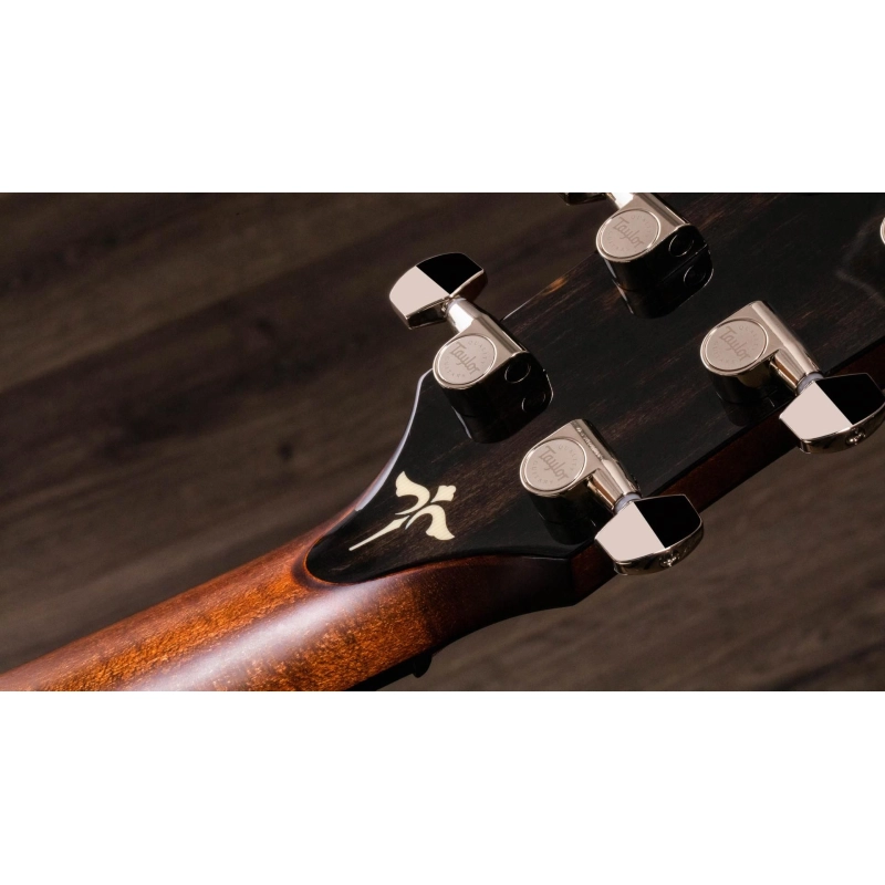 Taylor 614ce V-Class Bracing