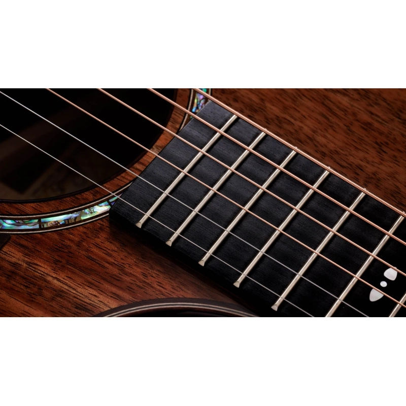 Taylor 722ce,Koa/Koa,Gloss