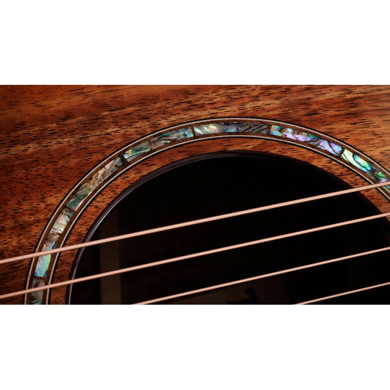 Taylor 722ce,Koa/Koa,Gloss
