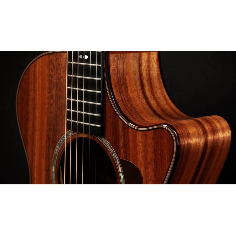 Taylor 722ce,Koa/Koa,Gloss
