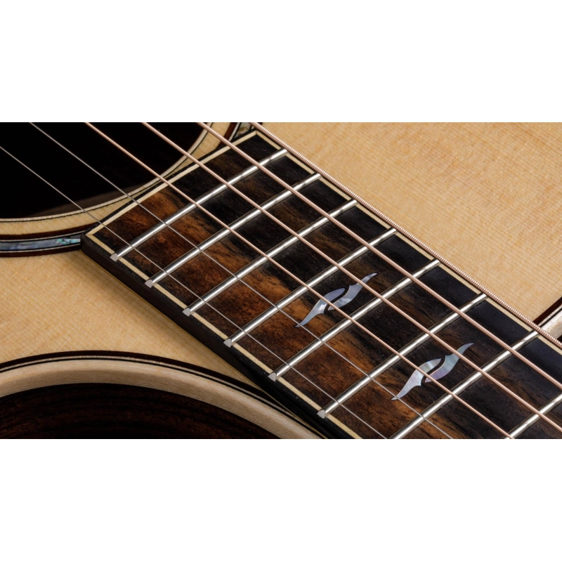 Taylor 812ce,Radius Armrest,V-Class(R)Bracing