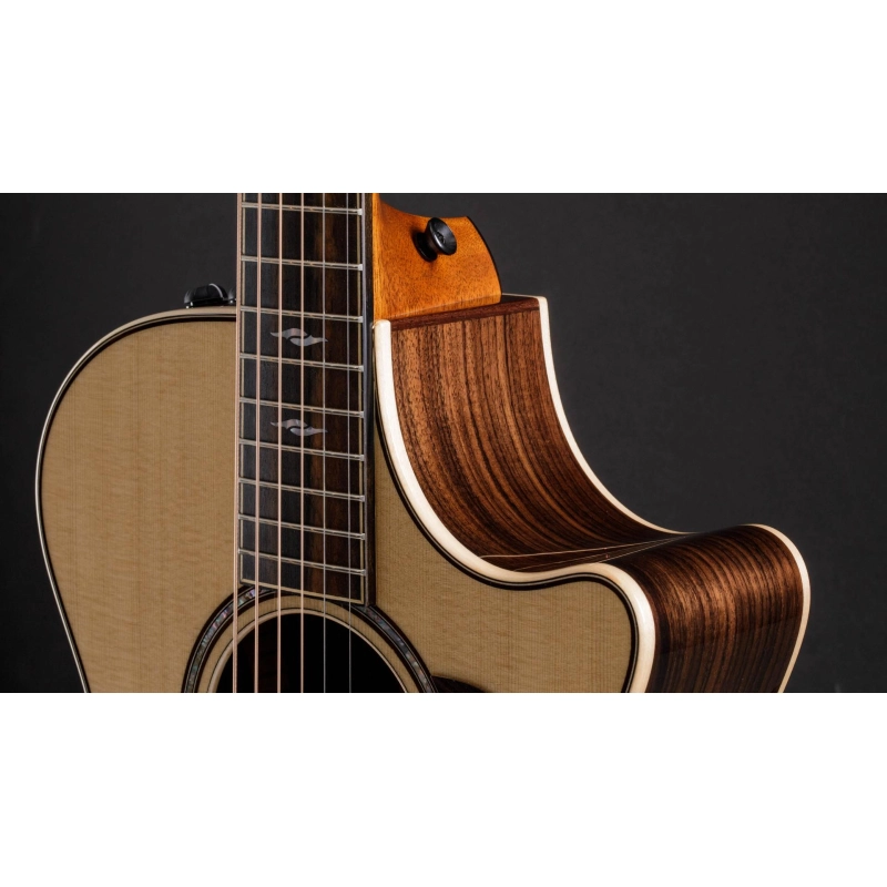 Taylor 812ce,Radius Armrest,V-Class(R)Bracing