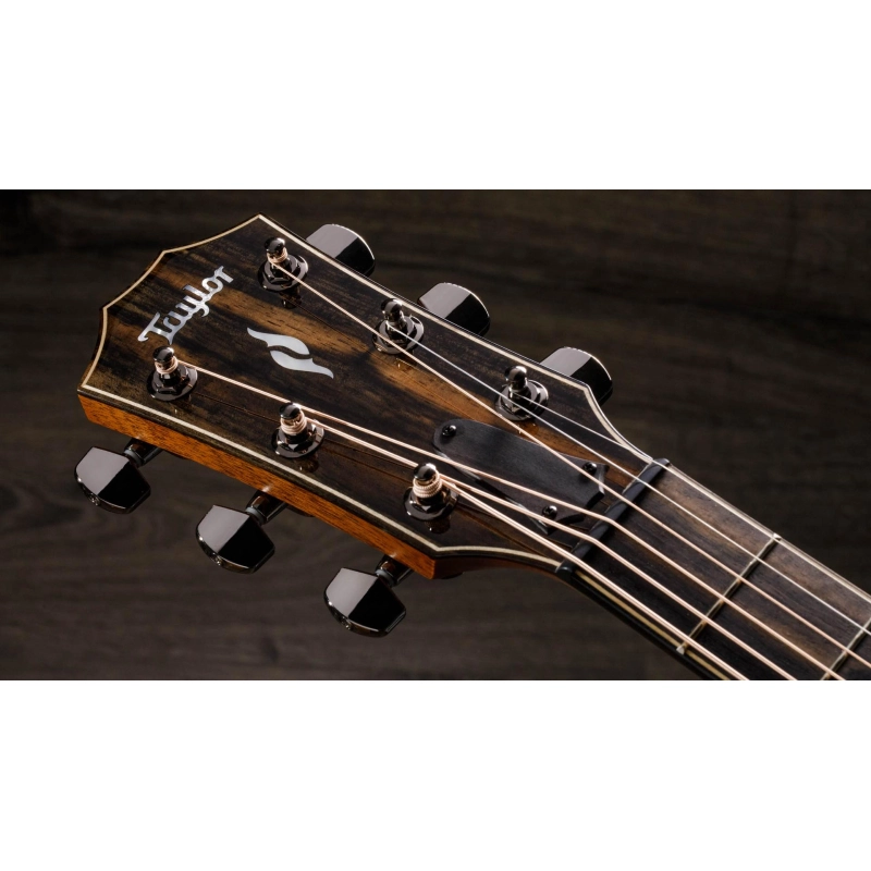 Taylor 812ce,Radius Armrest,V-Class(R)Bracing