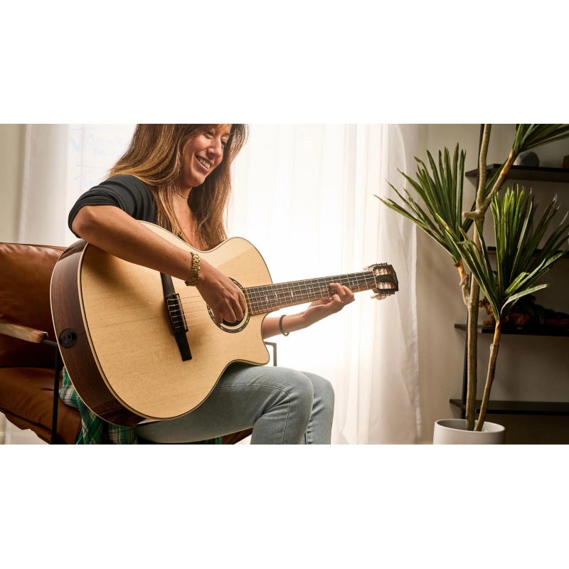 Taylor 812ce-N Sitka Rosewood Grand Concert Corde Nylon