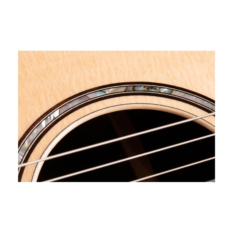 Taylor 812ce-N Sitka Rosewood Grand Concert Corde Nylon