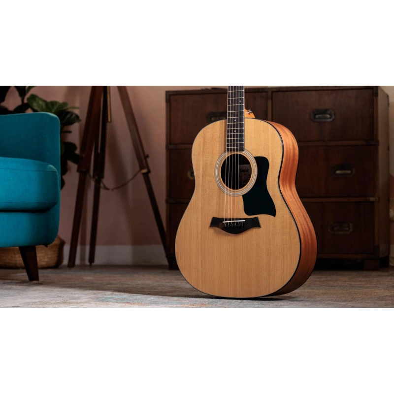 Taylor 117e,Sapele/Spruce dreadnought