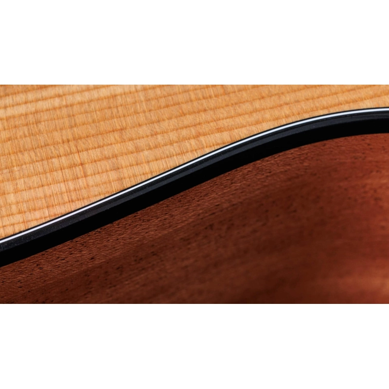 Taylor 117e,Sapele/Spruce dreadnought
