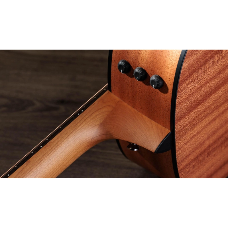 Taylor 117e,Sapele/Spruce dreadnought