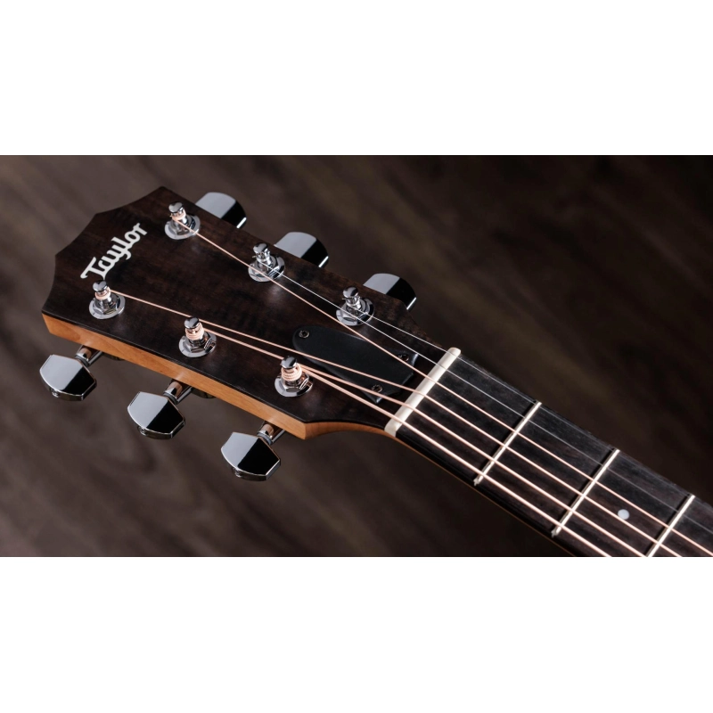 Taylor 117e,Sapele/Spruce dreadnought