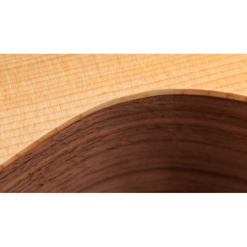 Taylor Academy 12e Grand Concert