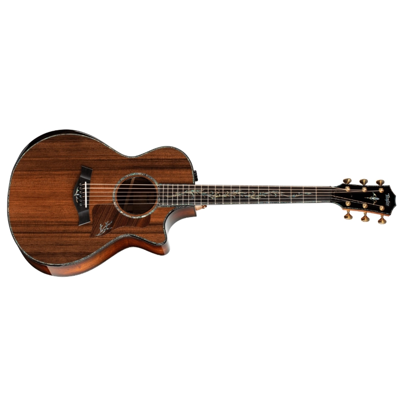 Taylor PS12ce Honduran Rosewood/Sinker Redwood, V-Class(R)Bracing